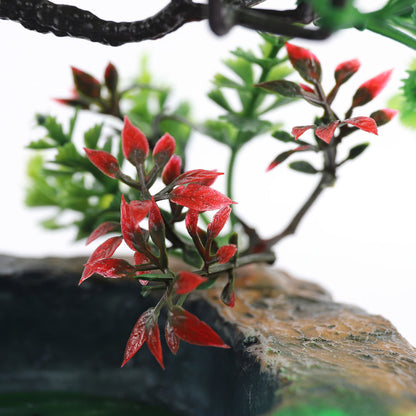 Bonsai Fountain™ | Waar water kunst ontmoet